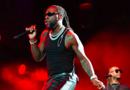 Burna Boy Halts Colorado Show To Exit Front-Row Sleeping Fans