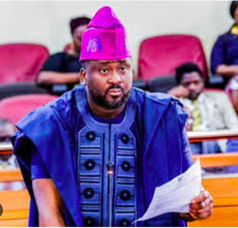 Desmond Elliot’s Assembly Return